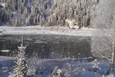 Вид из окна спальни зимой