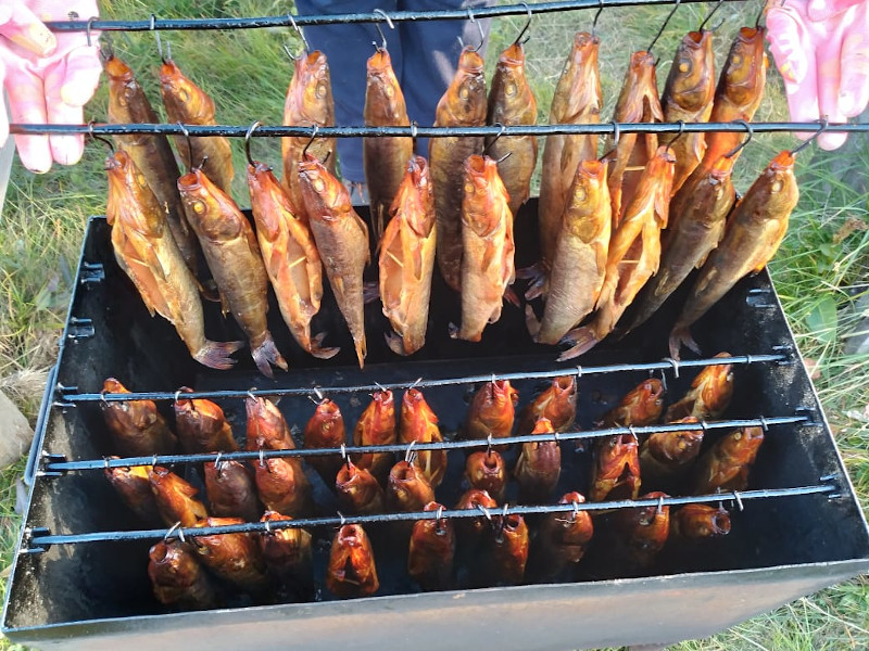 Домики Горный Алтай Онгудай