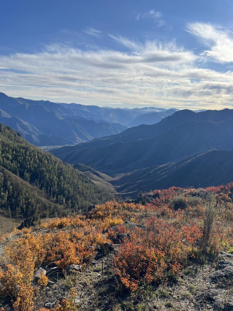 Экскурсия к Шелковому пути
