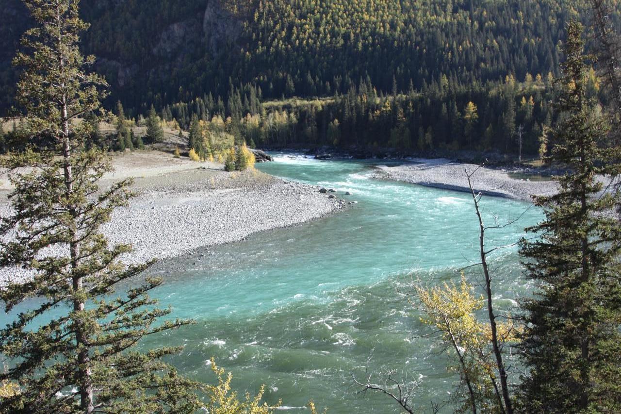 Слияние рек Аргут и Катунь