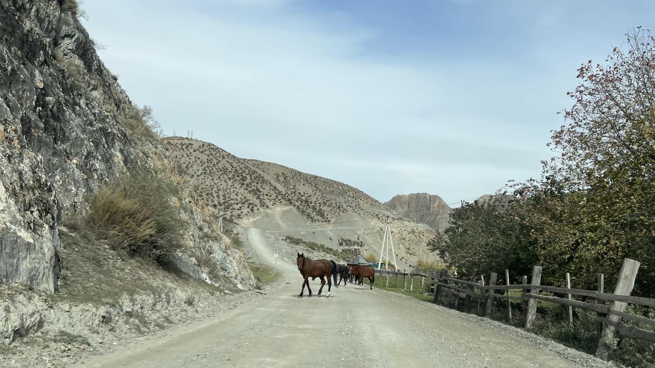 Отличная грунтовая дорога с трассы до базы