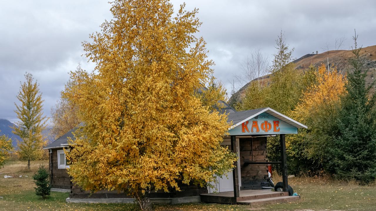 Кафе на территории базы