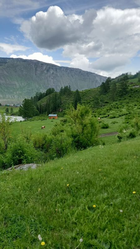 Река Чуя отдых Чибит