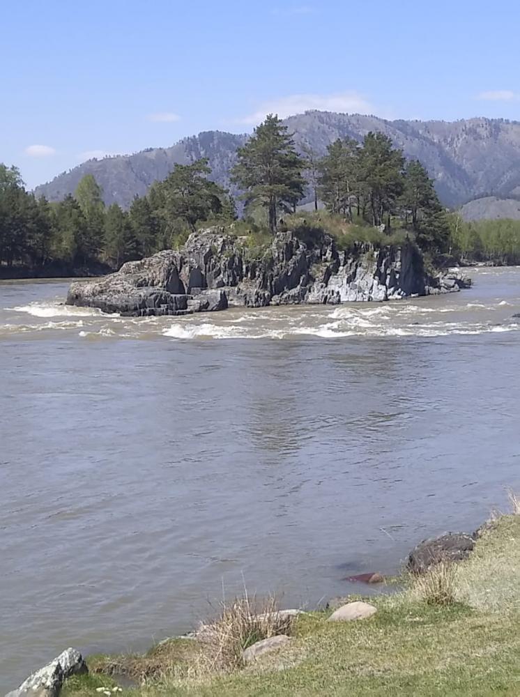 Вид из мини-отеля на островок на Катуни