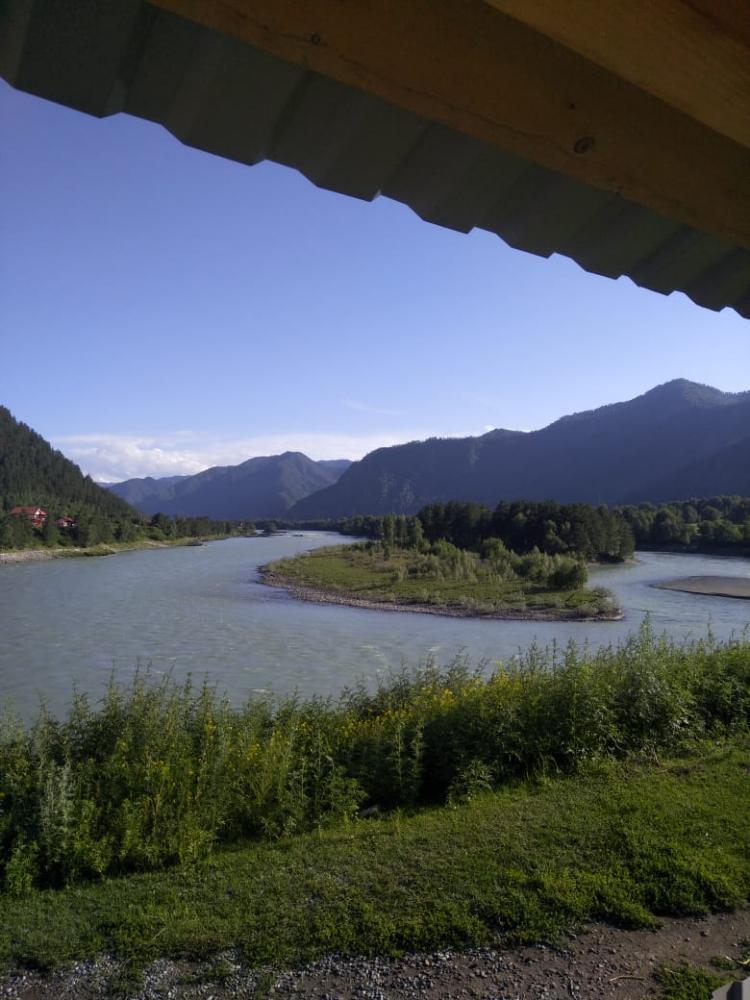 Гостевой дом у реки Катунь вид из беседки