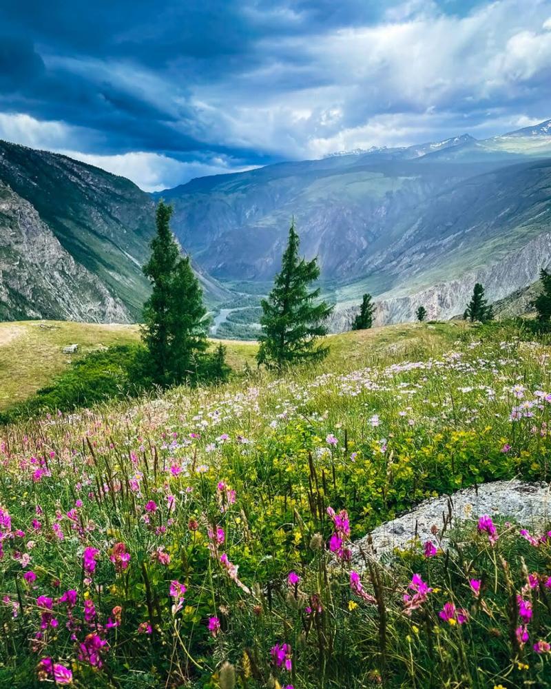 Река Аргут в Горном Алтае возле отдыха "Байтерек"