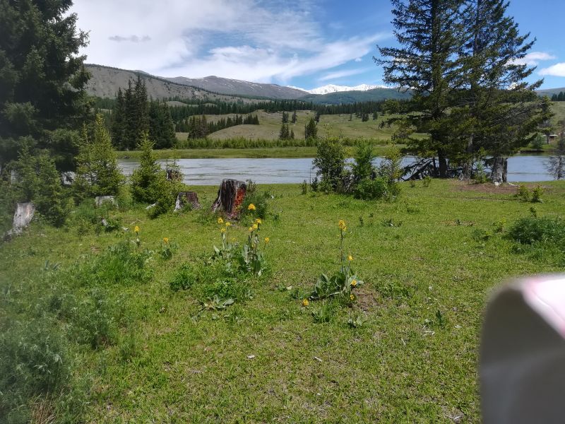 Река Аргут Джазатор Горный Алтай