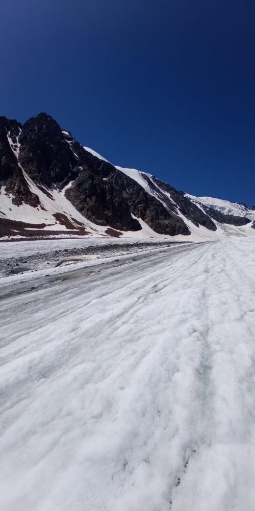 Ледники Актру