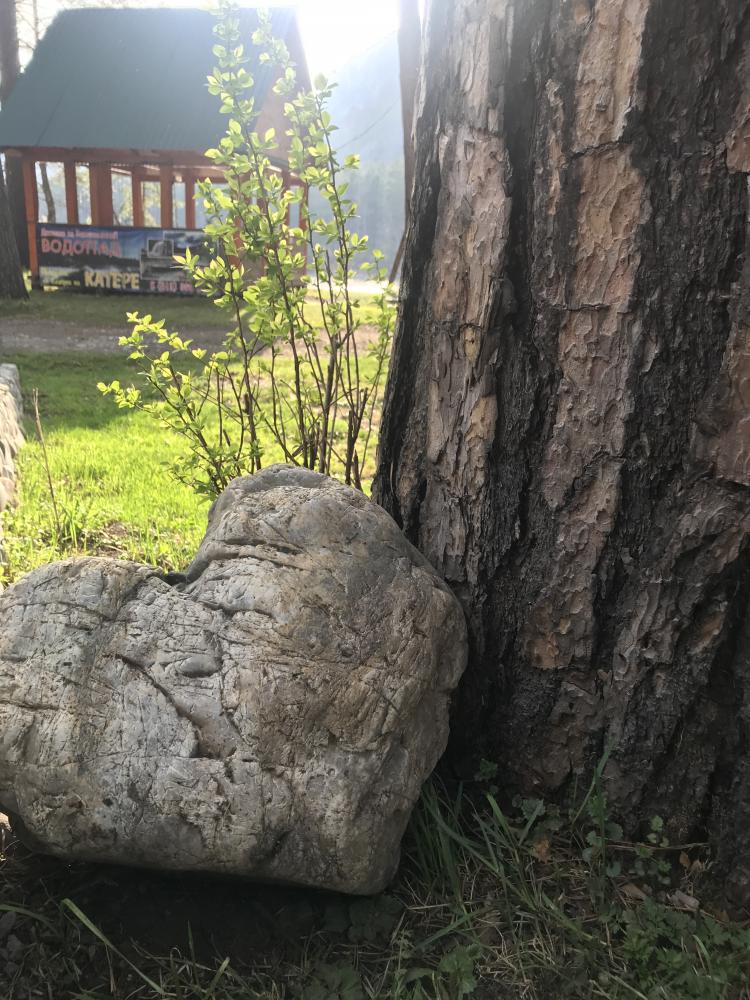 Территория базы