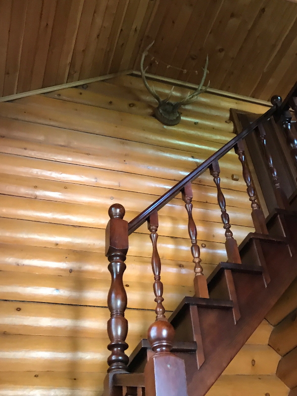 Кедровый дом