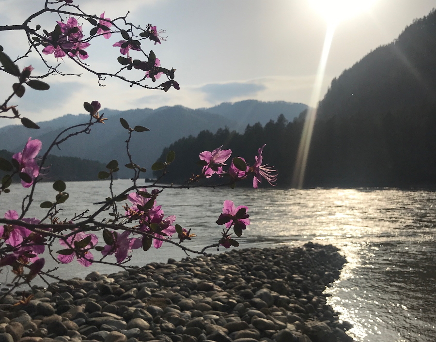 Виды вокруг