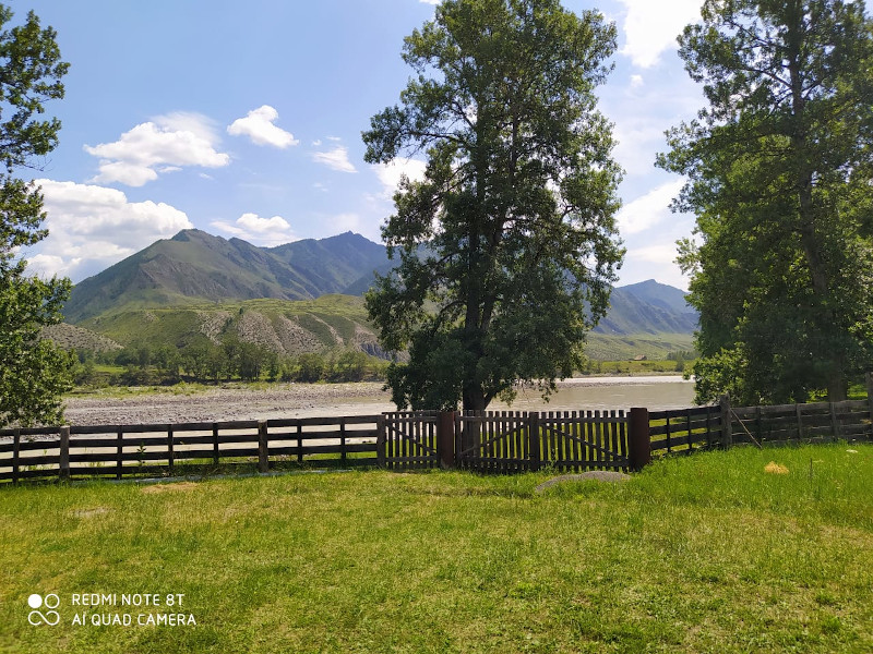 Отдых у реки Горный Алтай