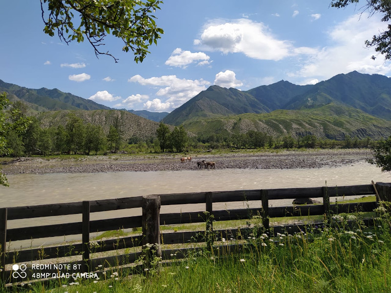 Отдых у реки Горный Алтай