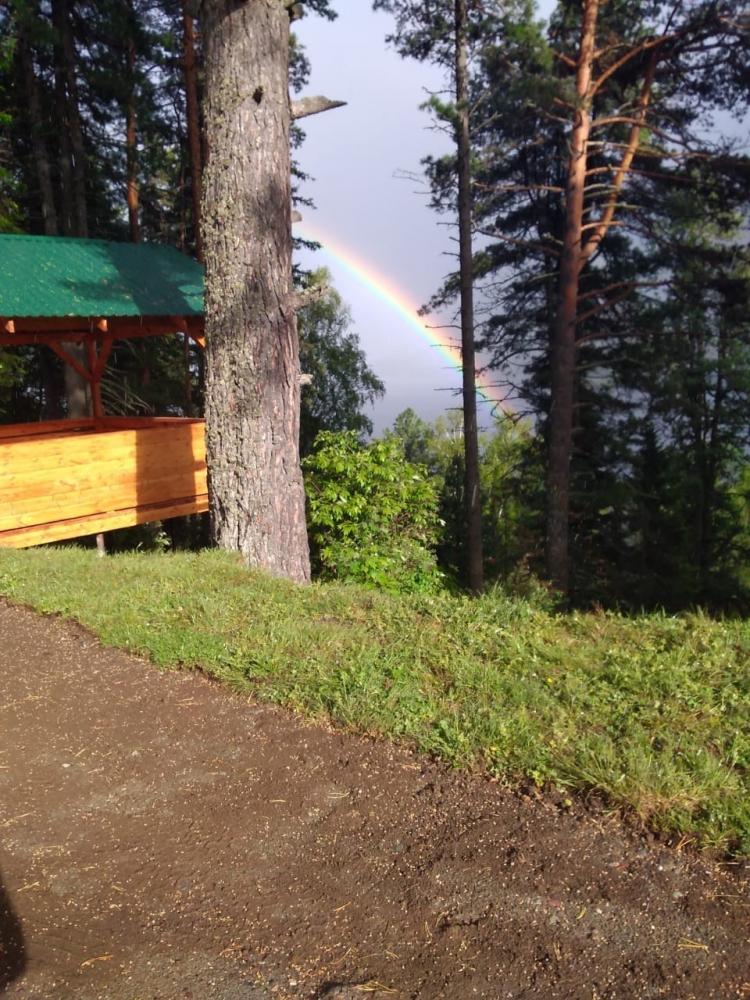 Виды территории