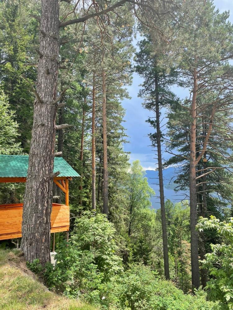 Вид на озеро Телецкое. 