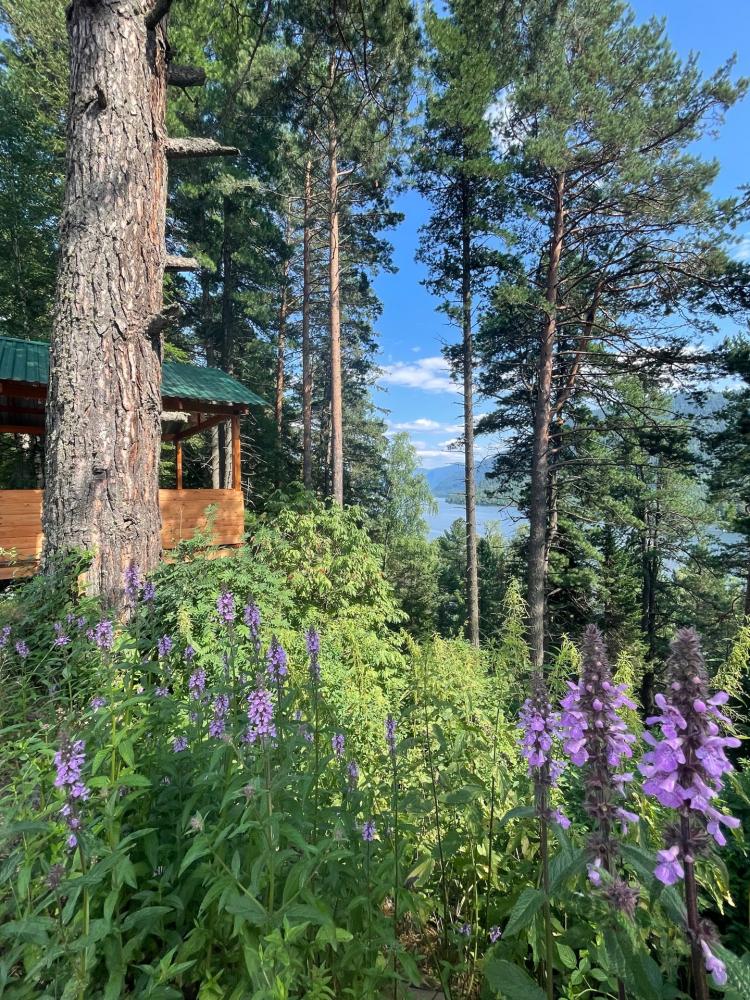 Обзор территории