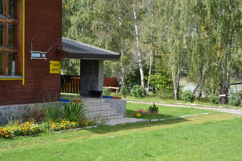 "Ранчо Аврора" база отдыха Горный Алтай