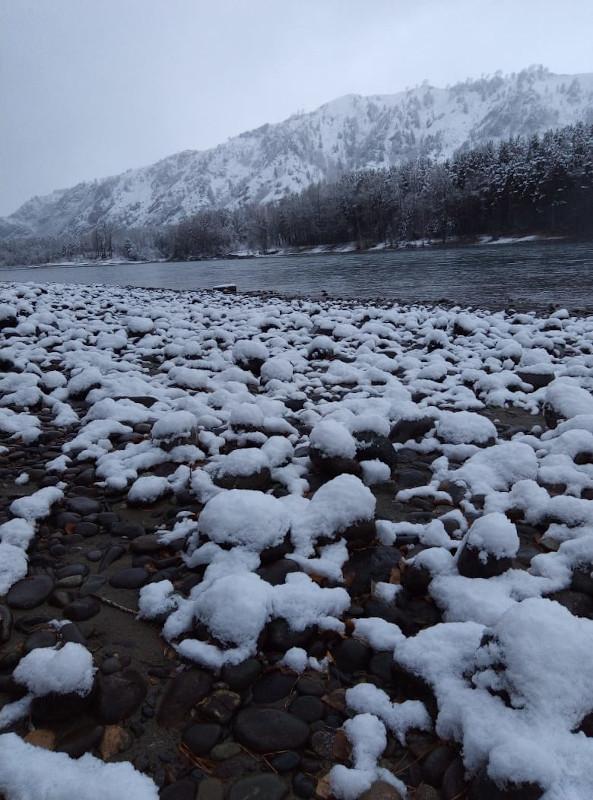 Река Катунь рядом с "Ранчо Аврора"