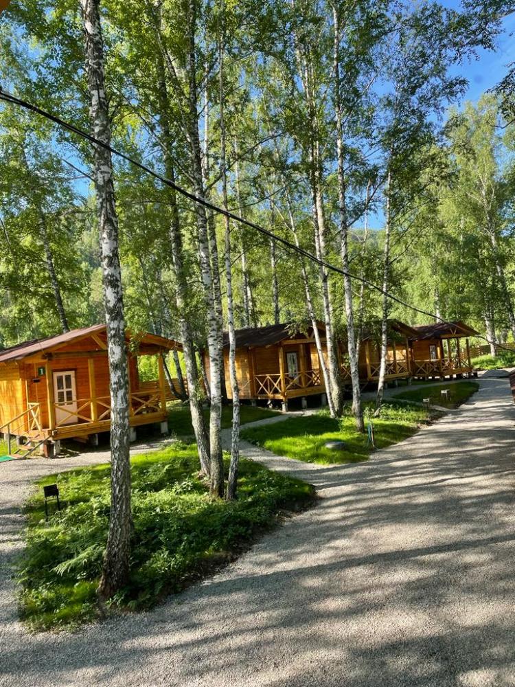 Территория и домики Горный Алтай