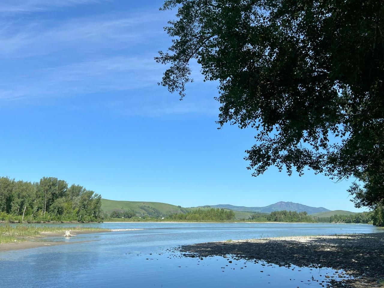 Река Катунь в 50 м от коттеджа в Дубровке Горный Алтай