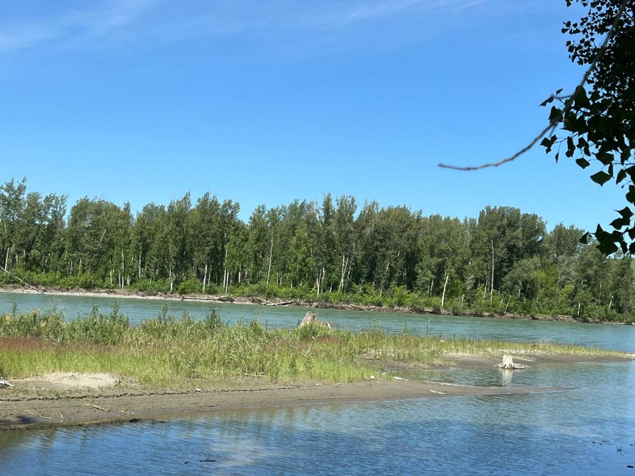 Река Катунь в 50 м от коттеджа в Дубровке Горный Алтай