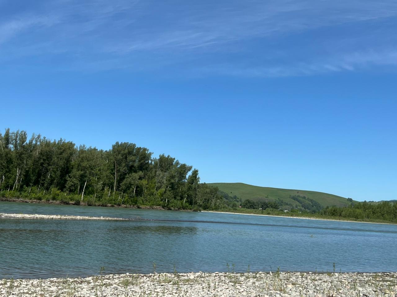 Река Катунь в 50 м от коттеджа в Дубровке Горный Алтай