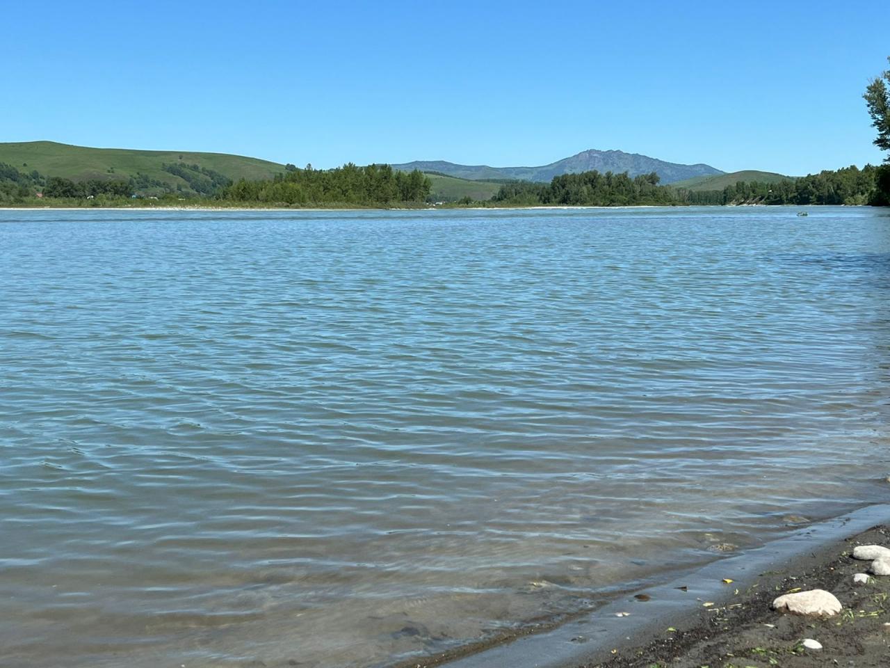 Река Катунь в 50 м от коттеджа в Дубровке Горный Алтай