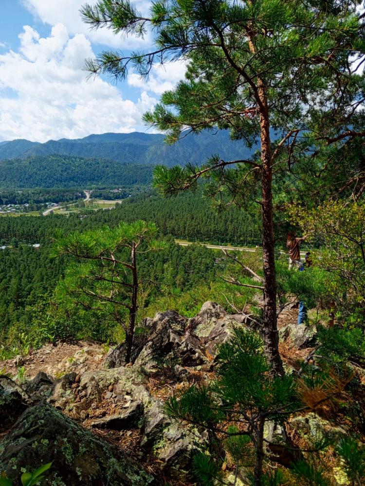 Автотур на Алтай на выходные из Новосибирска