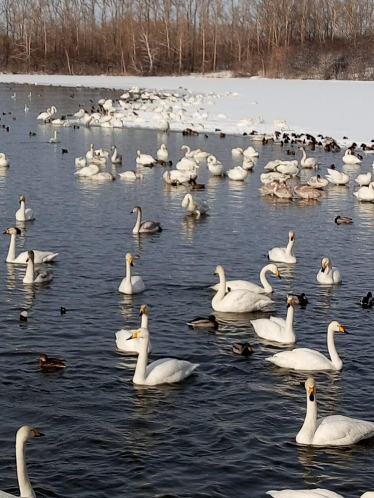 Экскурсия на Озеро Светлое на Алтае