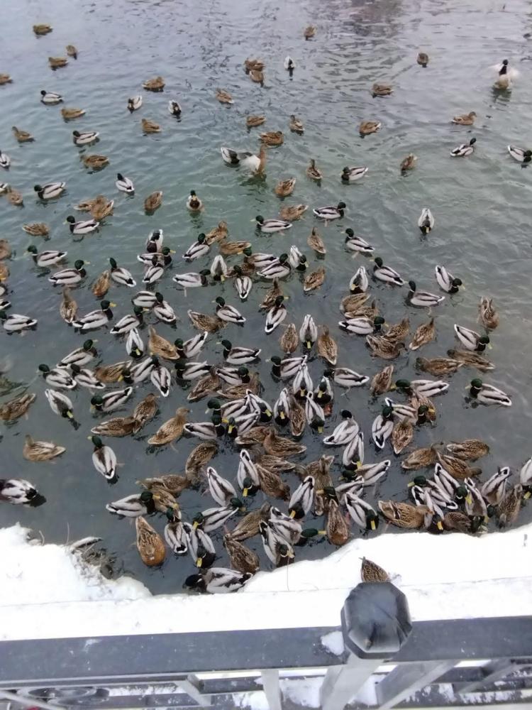 Тур из Новосибирска на Алтай 1 день