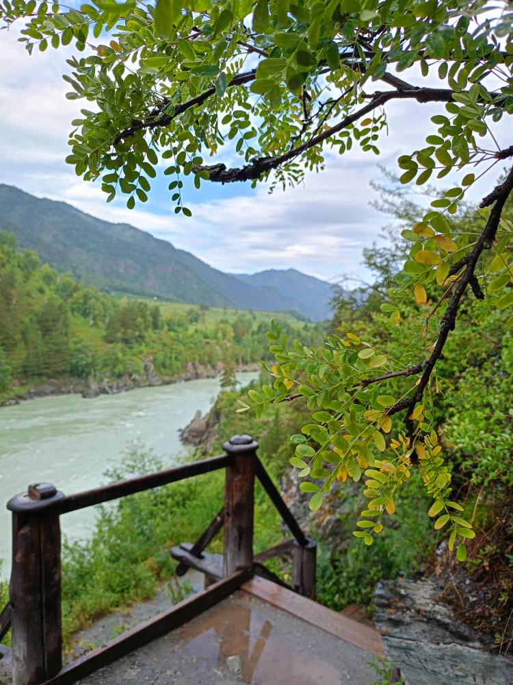 Тур на Алтай из Новосибирска река Катунь