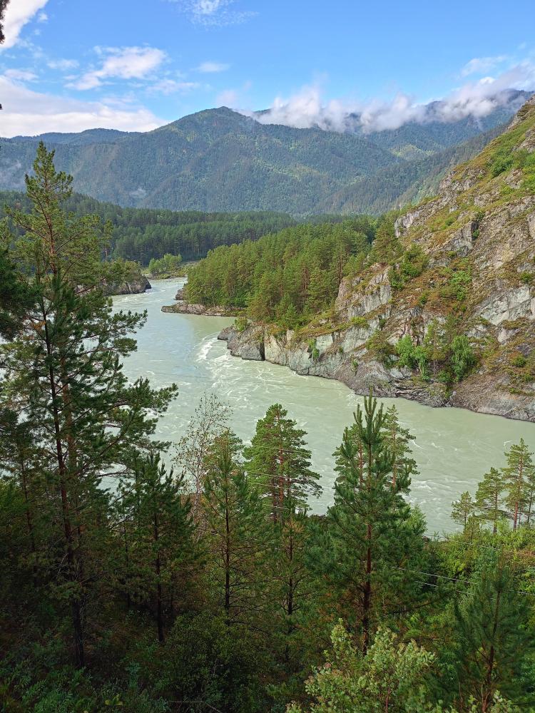 Тур на Алтай из Новосибирска река Катунь