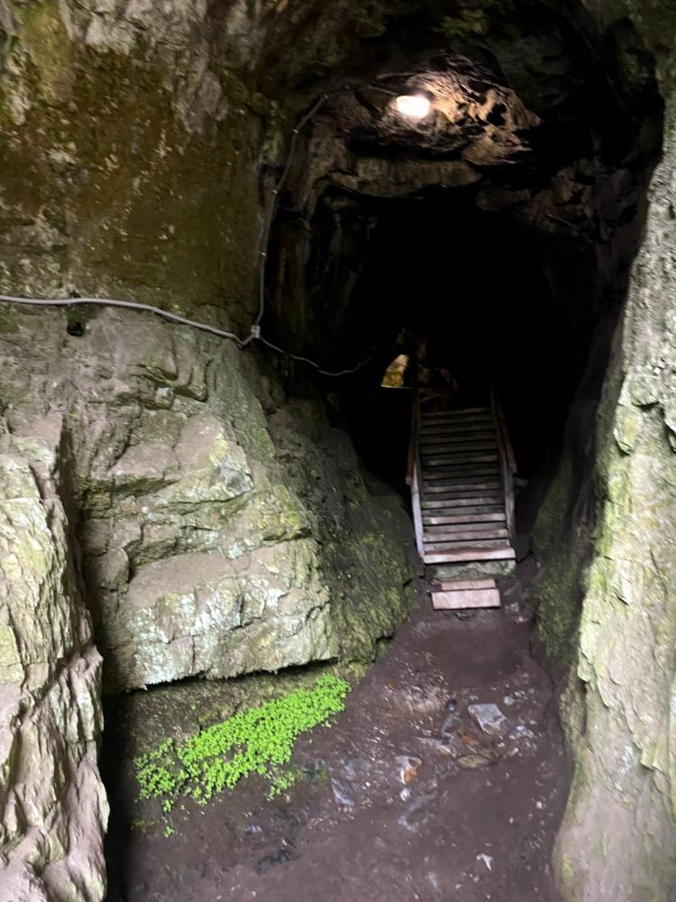 Экскурсия на Алтай из Новосибирска для пенсионеров