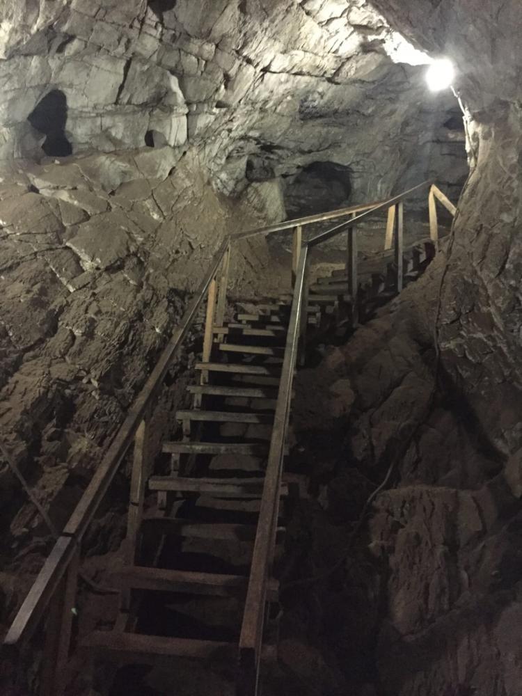 Туры на Алтай из Новосибирска для пенсионеров