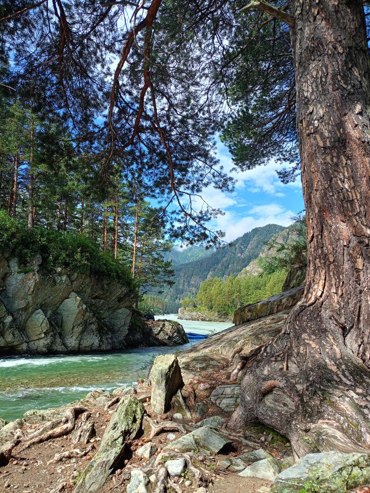 Выходные на Алтае тур из Новосибирска