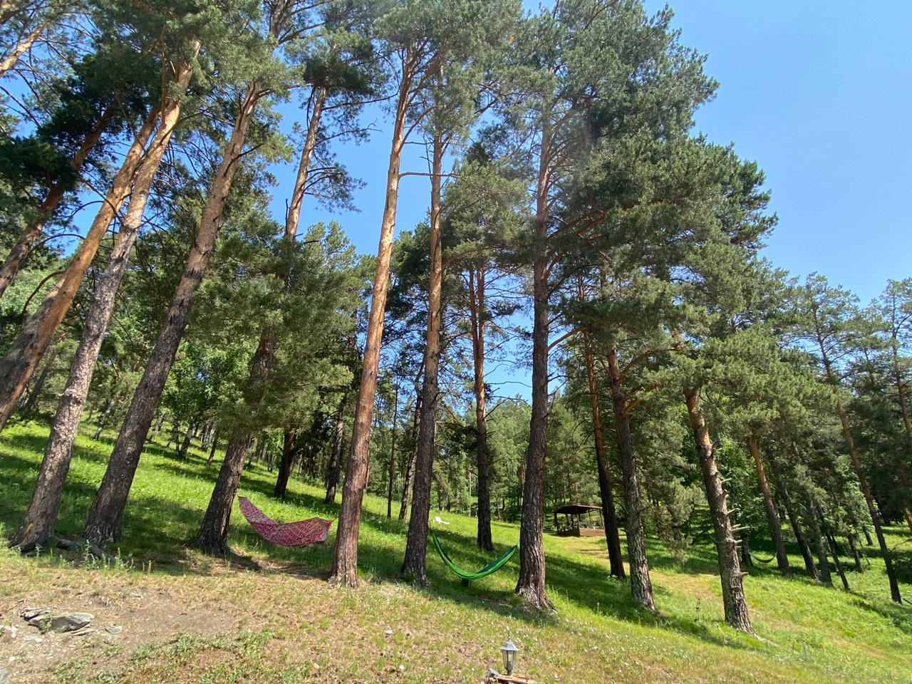 окрестности гостевого дома 