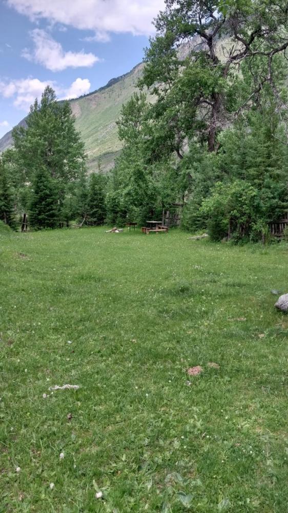 Место для палаток