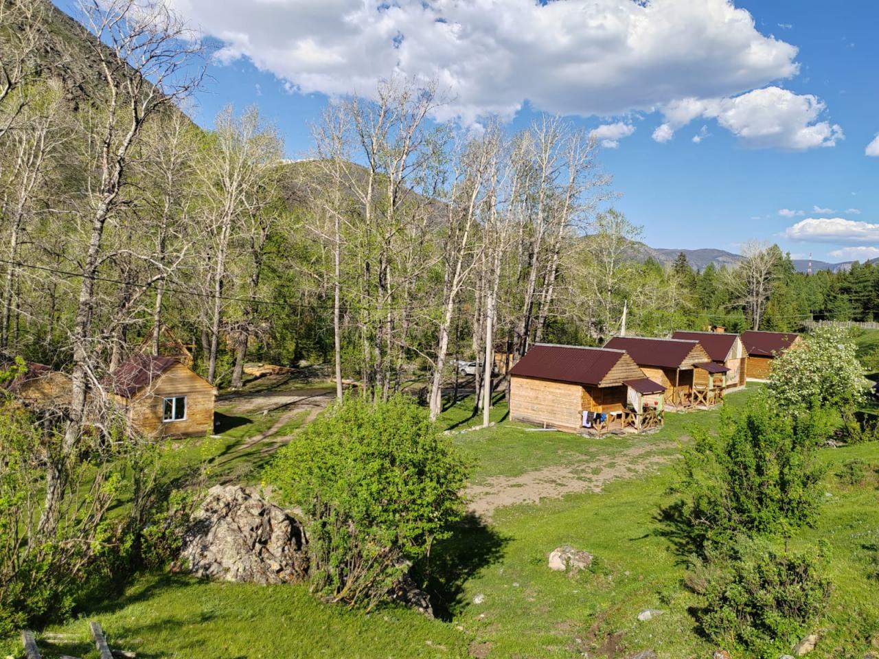 Отдых на Алтае в районе Акташа и Чибита