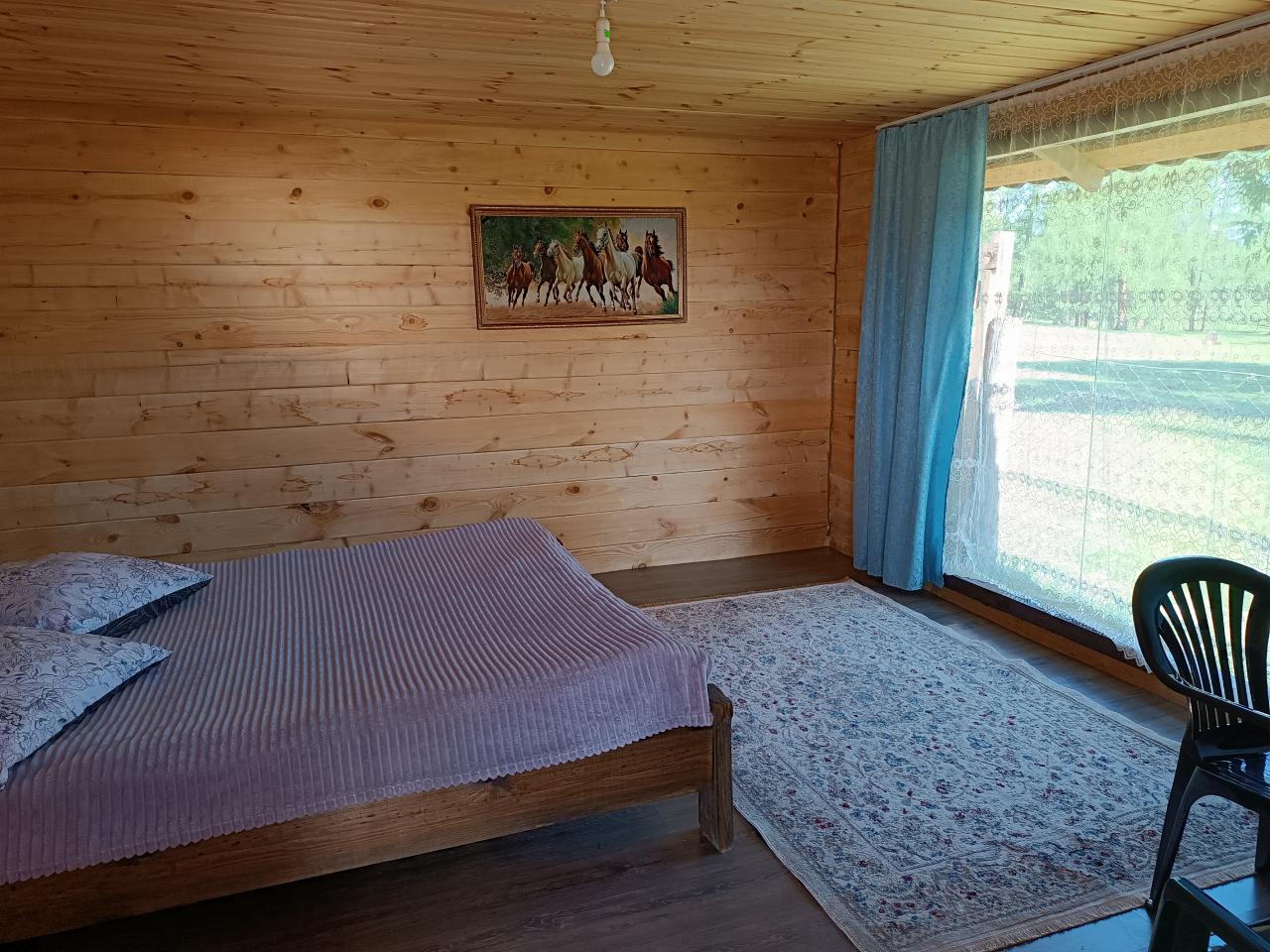 Домики с шикарным видом на лес.