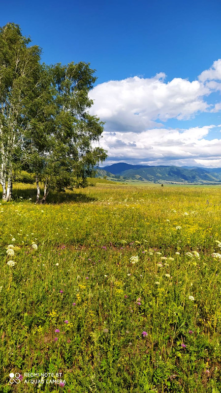 Природа Горный Алтай Мульта