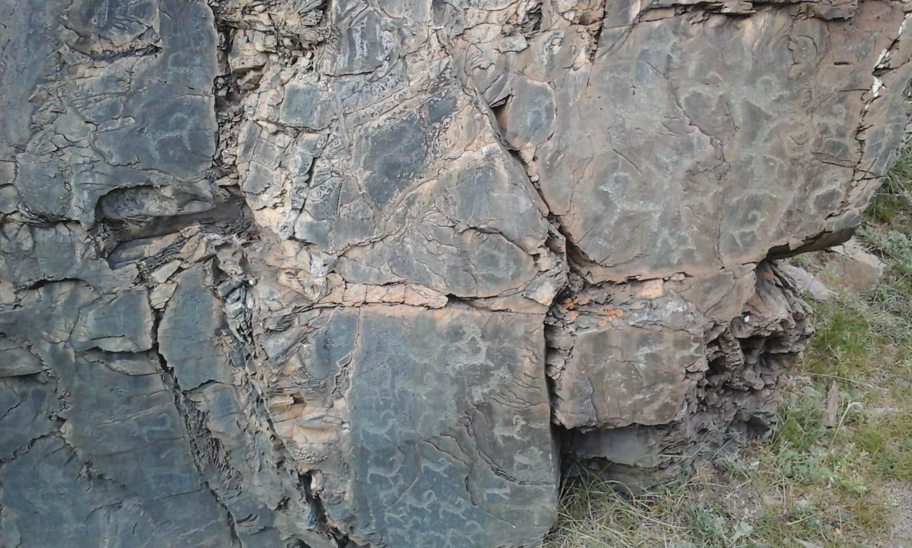 Наскальные рисунки Пазырыкская культура