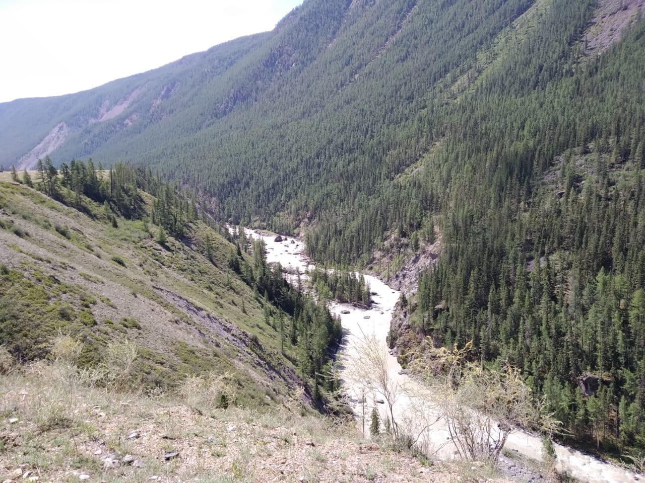 Река Мажой Горный Алтай