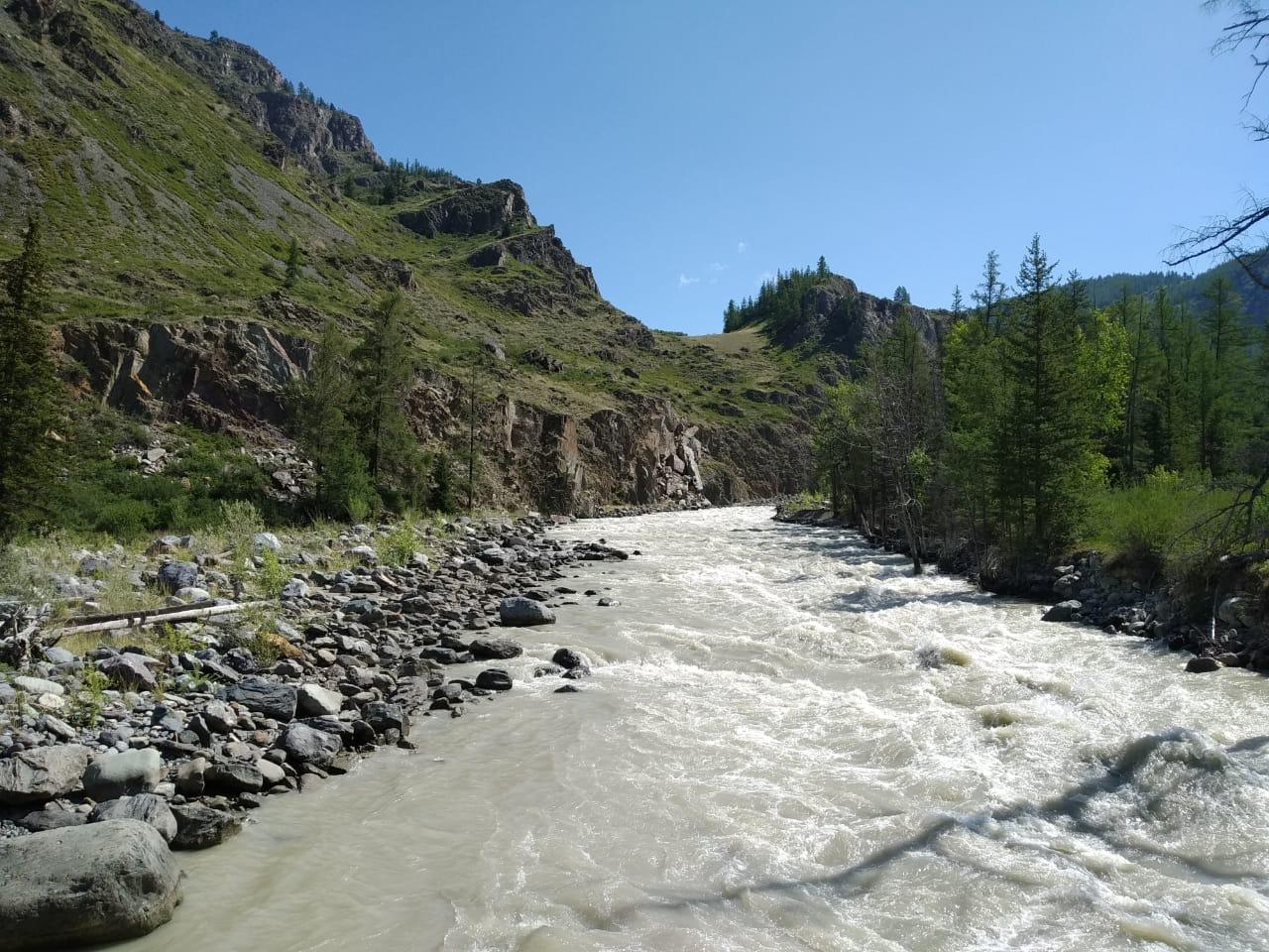 Горная река Алтай