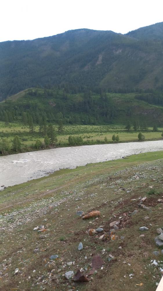 Отдых у реки Чуя Алтай Чибит вид из домиков