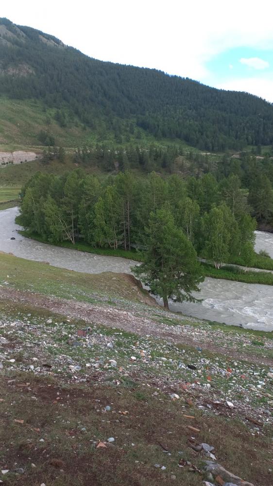 Отдых у реки Чуя село Чибит вид из домиков