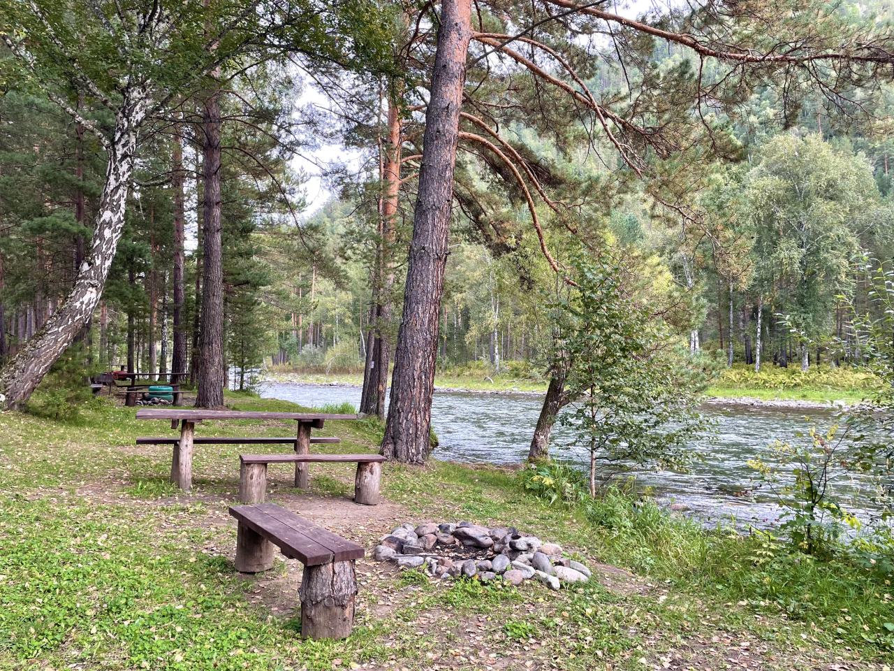 Кастровище