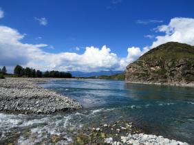 Слияние реки Мульта и Катунь в 500 м 