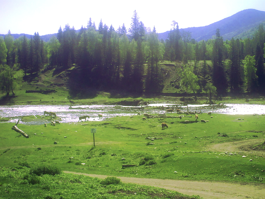 Вид на р. Кучерла