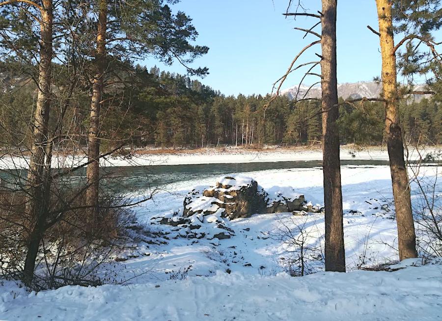 Катунь рядом с коттеджем