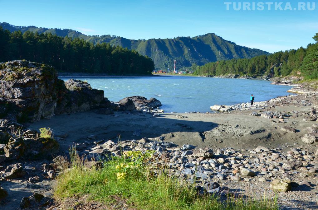 Бухта на Катуни около Коттеджа